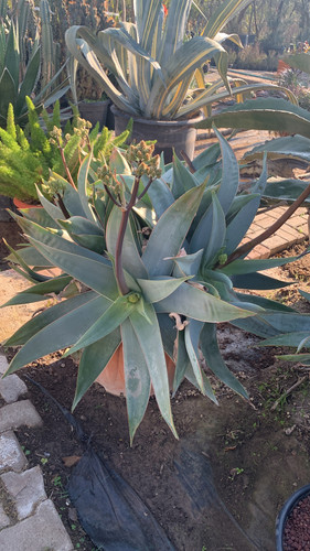 A86DFB82 4945 4CDF 91A6 BBAAB6EE4684.jpg