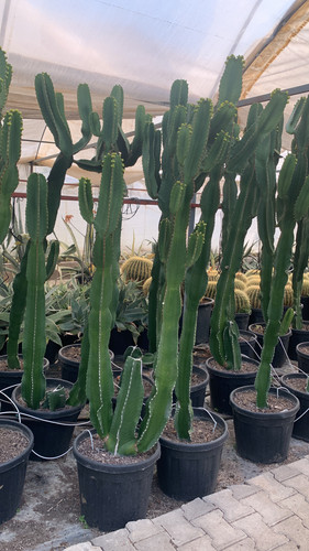 BE218373 BB90 4848 B056 53E7731C0FD5.jpg