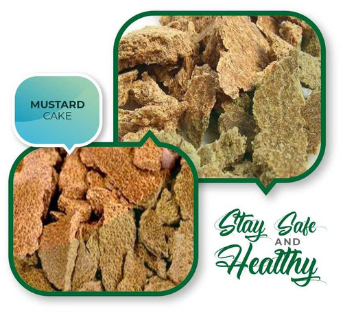 WhatsApp Image 2023 01 12 at 3.52.39 PM.jpg