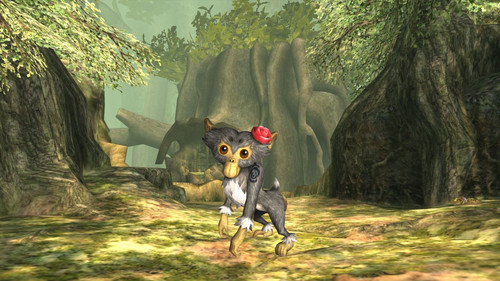 Monkey Test 1.jpg