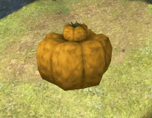Pumpkin Test.jpg