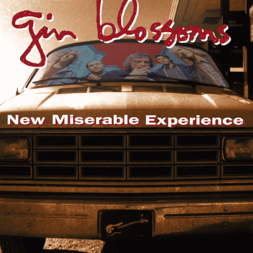 Gin Blossoms - New Miserable Experience.gif