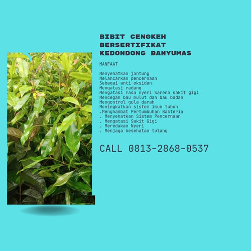 IMG 20230114 141636 857.jpg