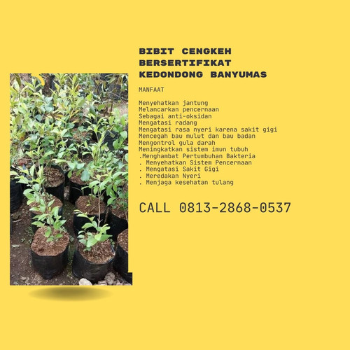 IMG 20230114 141601 032.jpg