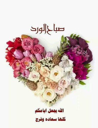 IMG 20230113 WA0005.jpg