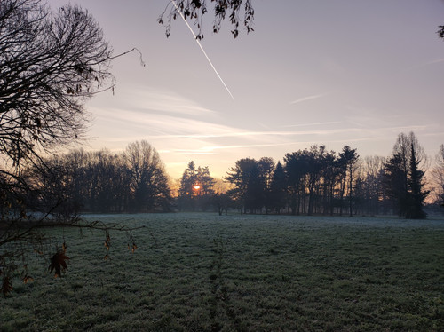 IMG 20230114 082753.jpg