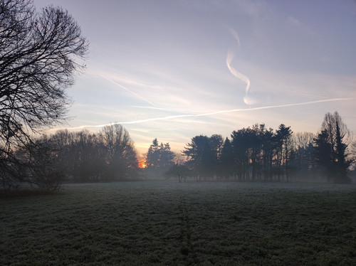 IMG 20230114 081233.jpg