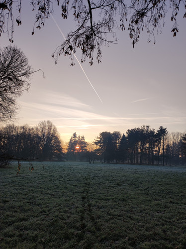 IMG 20230114 082801.jpg