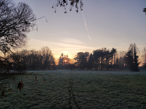 IMG 20230114 083158.jpg