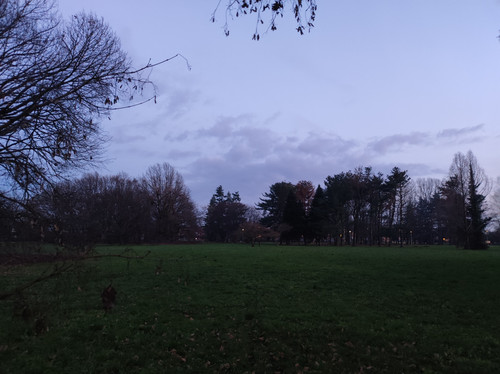 IMG 20230114 172102.jpg