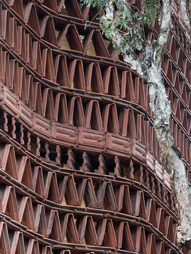 Resized Beehive 2