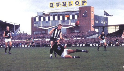 vic park dunlop 657x380.jpg