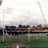 mcg 1990