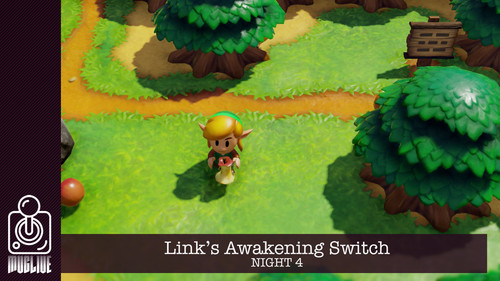 Link's Awakening Switch night 4.jpg