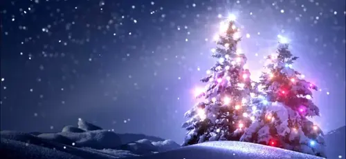 Width 1037 X Height 480 (1).webp