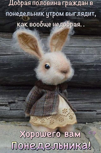 FB IMG 1673279161430.jpg