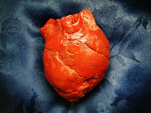 My heart and Soul expo.png