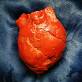 My heart and Soul expo
