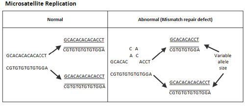 Screenshot 2023 01 12 17 20 36.png