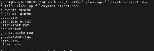 ACL class wp filesystem direct.php