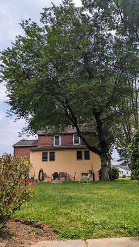 PXL 20230727 183424976