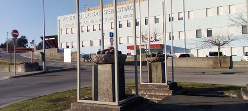 333581750 204440128837248 1564296687635776565 n.jpg