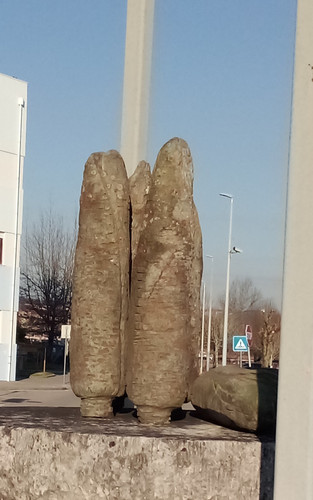 333698744 596632655697225 5923742017054189470 n.jpg