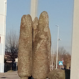 333698744 596632655697225 5923742017054189470 n