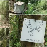 00005 文林古道，高梘頭山