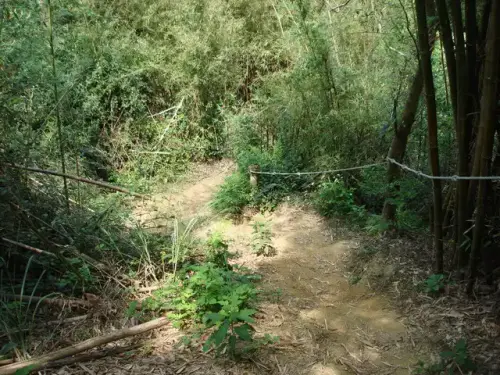 00003 文林古道.webp