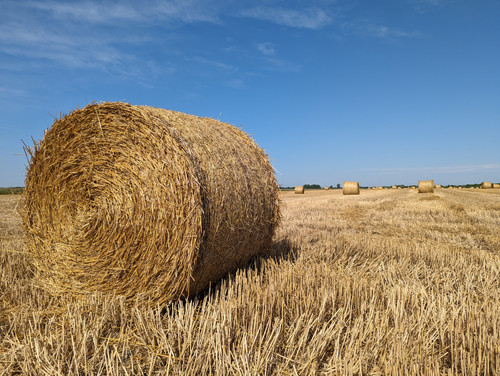 PXL 20230720 072618870