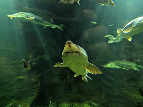 PXL 20230723 093927175