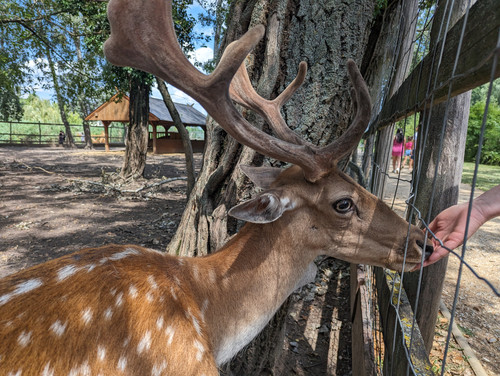 PXL 20230723 113149876