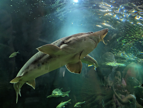 PXL 20230723 093933208