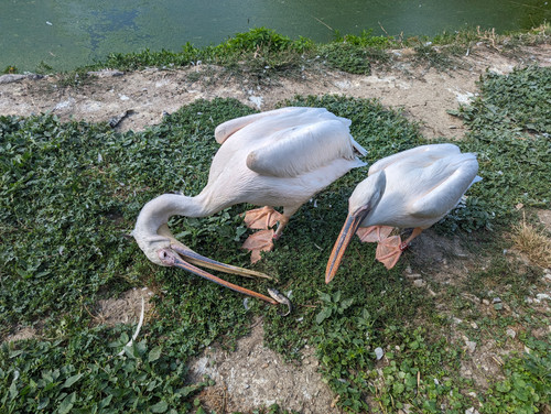 PXL 20230723 133118500