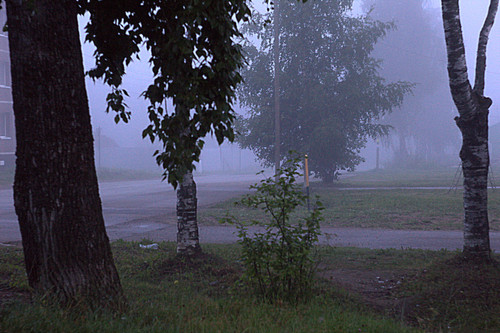 IMG 4968.jpg
