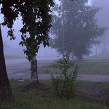IMG 4968