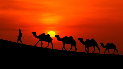 camel silhouette sky landscape wallpaper preview.jpg