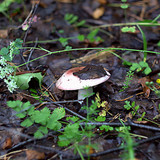 IMG 4984