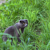 IMG 5020 2