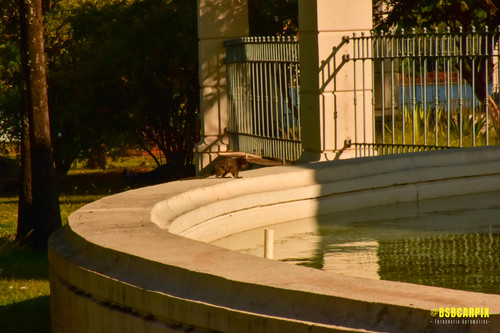 DSC 1063.jpg
