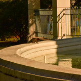 DSC 1063