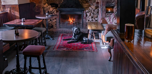 Screenshot 2023 07 30 at 09 01 18 Photo by Michael Cummins on Unsplash.png