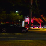 DSC 1474