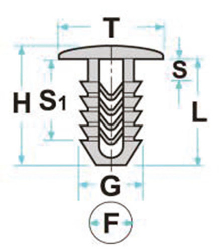 FF50104 SCHEMA