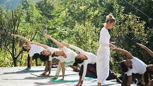 Yoga Teacher Training In India.jpg