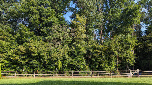 PXL 20230729 122102585