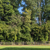 PXL 20230729 122102585