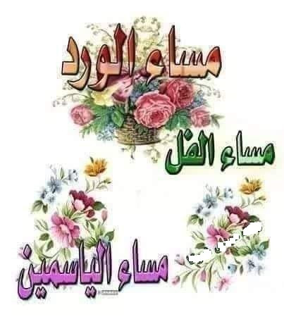 241405351 233155382084328 1311218744758538187 n.jpg