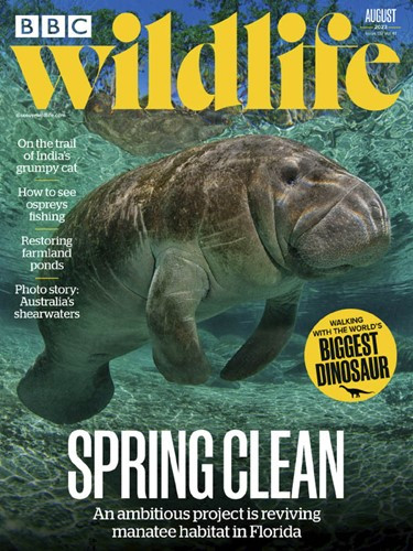 BBC Wildlife Magazine – August 2023